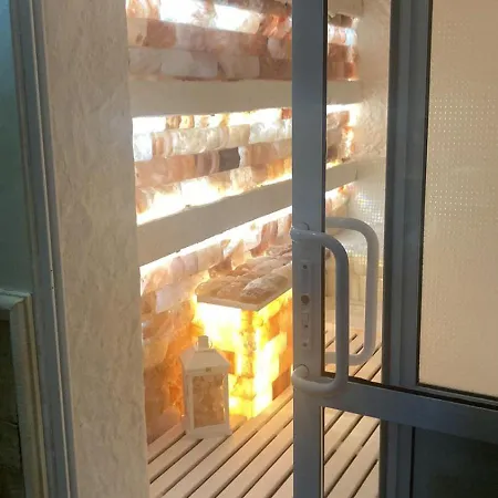 Hotel Balneo&spa Aura 3*