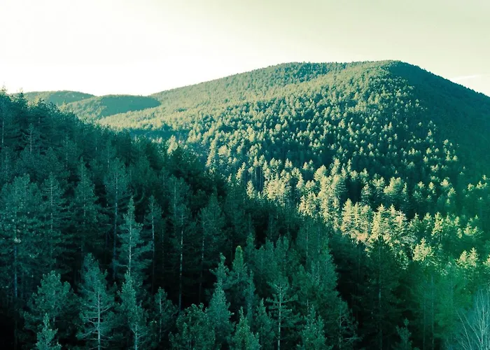 Hotel Balneo&spa Aura Welingrad